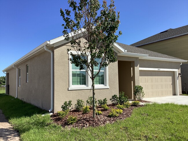 Photo - 20363 Calla Lily Dr House