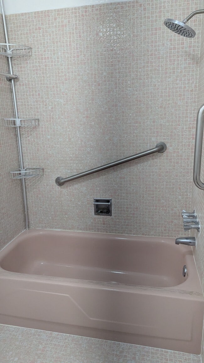 Bathtub - 17262 SW 112th Pl