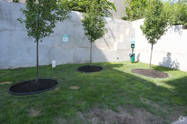 Pet Area