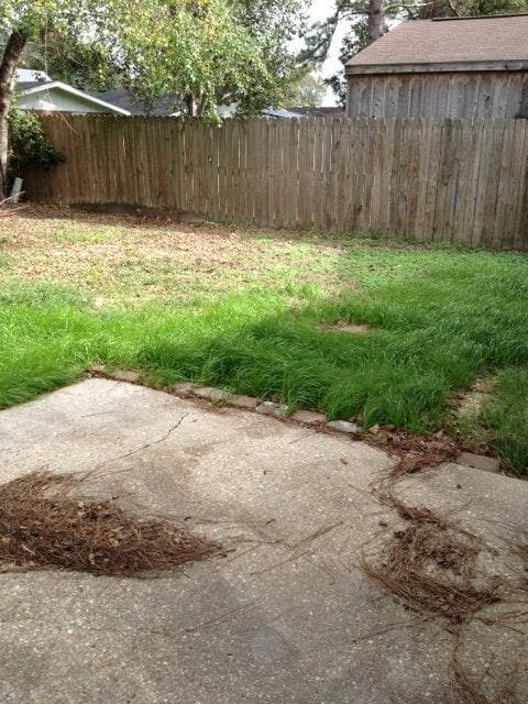 Backyard