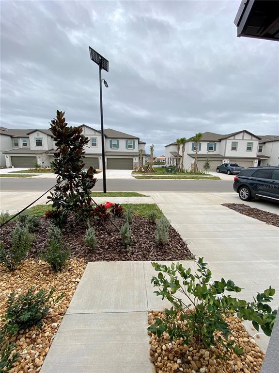 Photo - 10373 Lavender Aster Trl