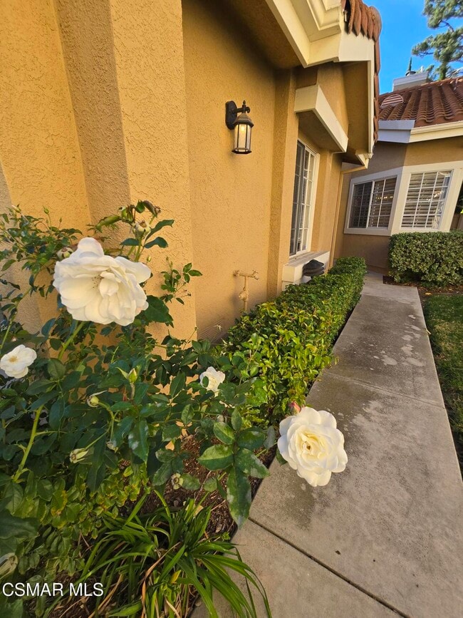 Photo - 491 Novara Way