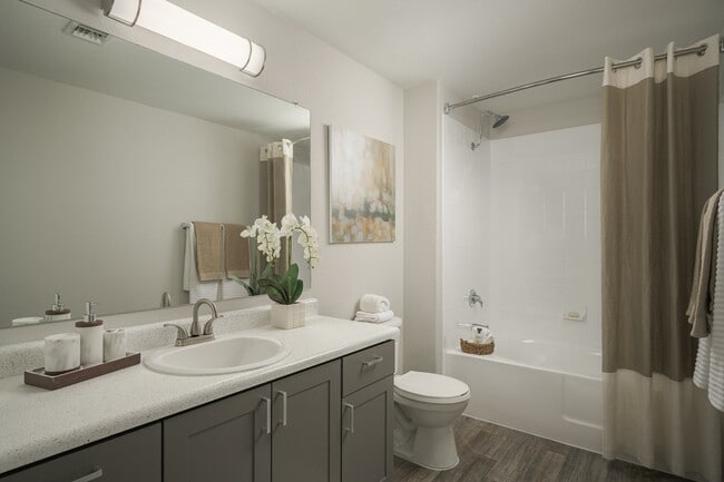 Elegant and modern bathrooms at Trevi Apartment Homes