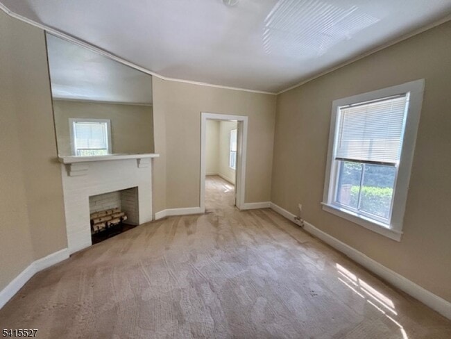 Photo - 196 Mt Kemble Ave