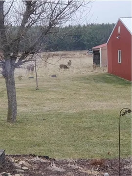 Photo - N9362 7th Ave