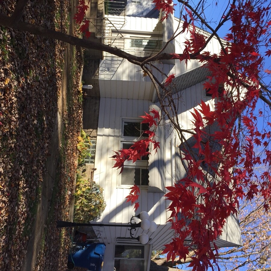 Photo - 4080 Joyce Ave