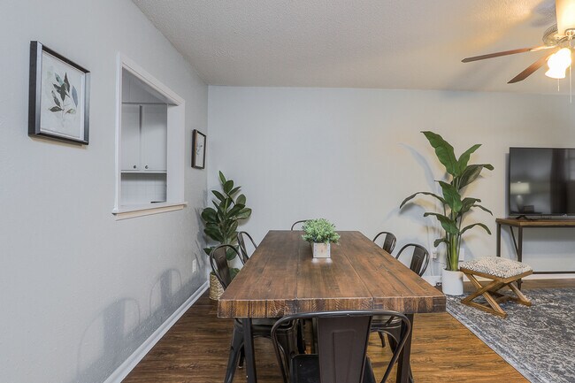 Photo - Sunny Delight