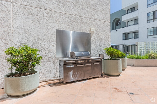 Grill Area