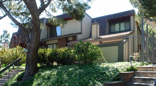 Photo - Villa Velletri