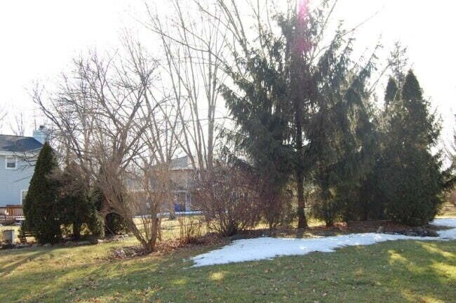 1 Bed 1 Bath Upper Unit - 1 Bed 1 Bath Upper Apartment Unit Unit Upper