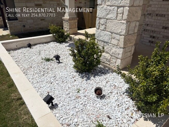 Photo - 1729 Friesian Lp