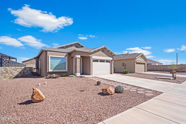 Photo - 11629 Flor Achillea