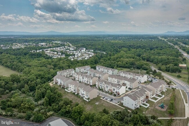 Photo - 227 Schramm Lp