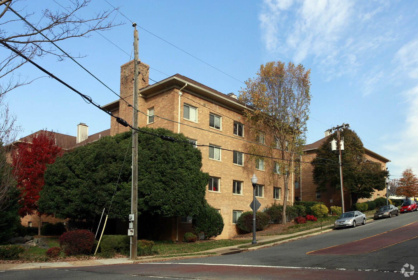 Photo - Leckey Gardens