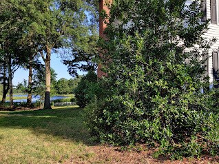 Photo - 305 Grain Way