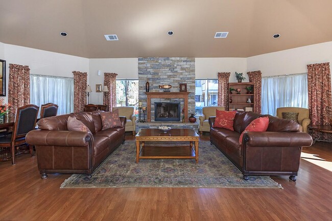 Photo - Alpine Woods