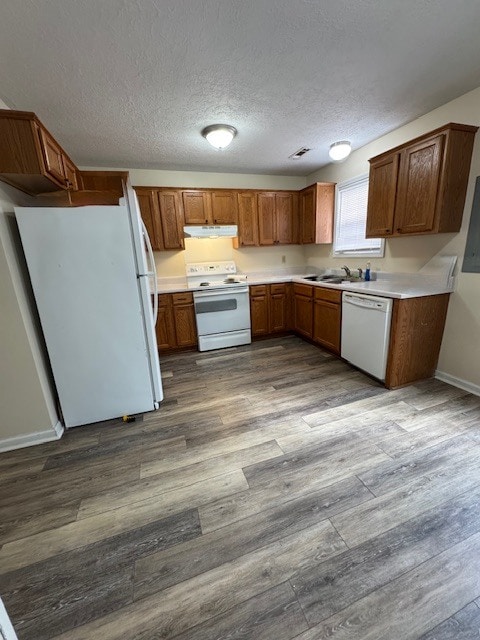 Photo - 3601 Overcast Rd