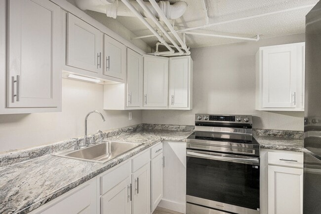 Building Photo - Spacious 1/BR Lower Level Unit E Rental