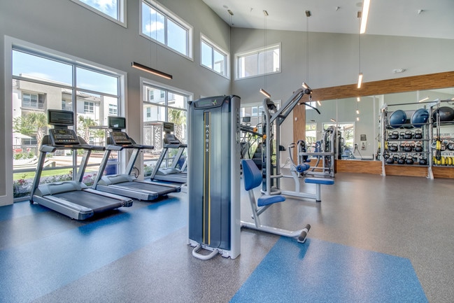 The fitness center is drenched in natural light and overlooks the pool