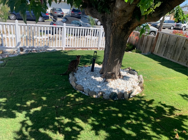 Photo - 3196 Durant Ave