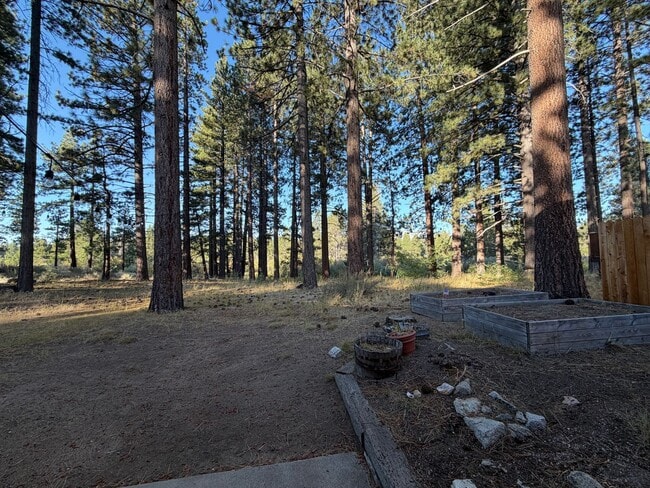 Photo - 916 Sunset Dr
