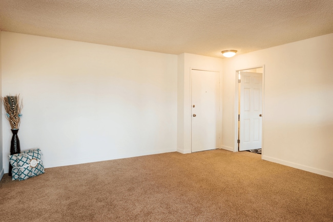 Elan Mesa Lofts