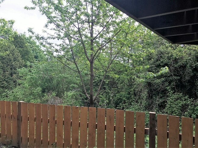Photo - Charleston District- 1 bed 1 bath with W/D... Unit B