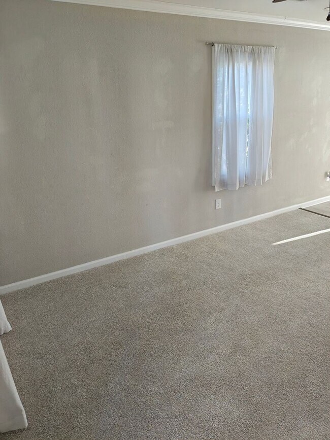 Photo - 3 Bed, 1 Bath House in Newport News!