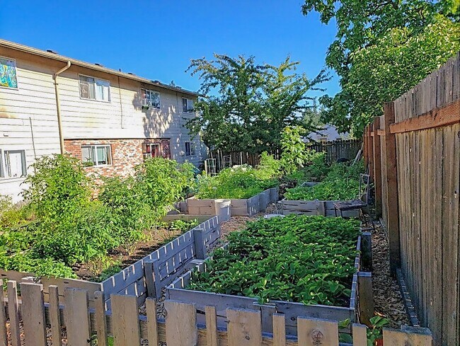 Johnson Creek Commons