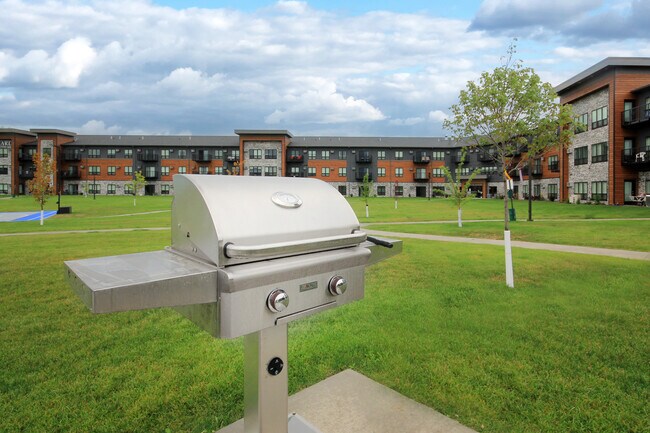 One of gas grill
