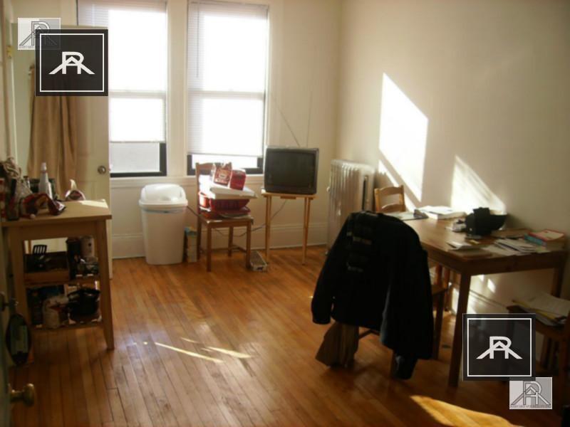 1 bedroom in Allston MA 02134 - 1 bedroom in Allston MA 02134 Unidad 8 Rental