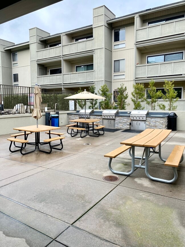 BBQ Area