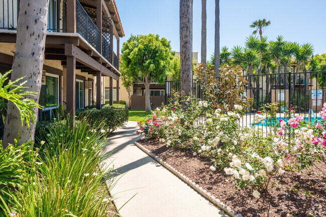 Maddox Appartments