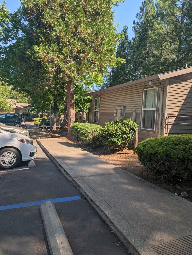 Photo - Springhill Gardens Apartments