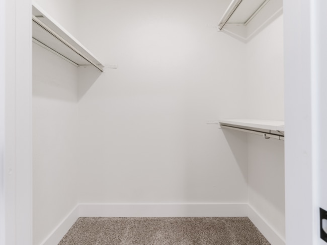 Photo - 7117 Chinaberry Rd