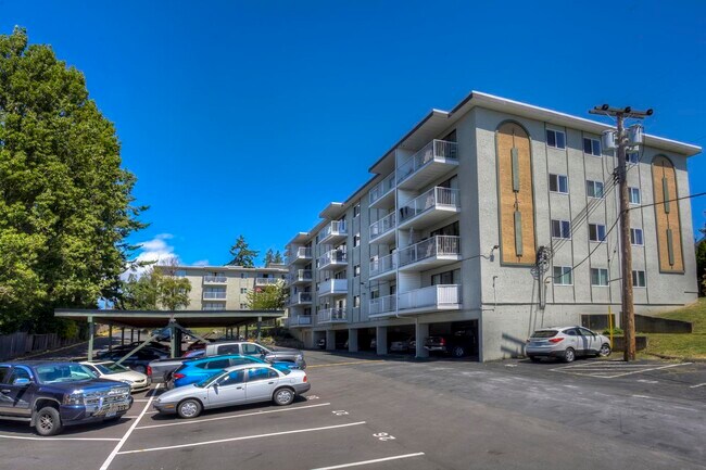 Photo - Olympic View Terrace