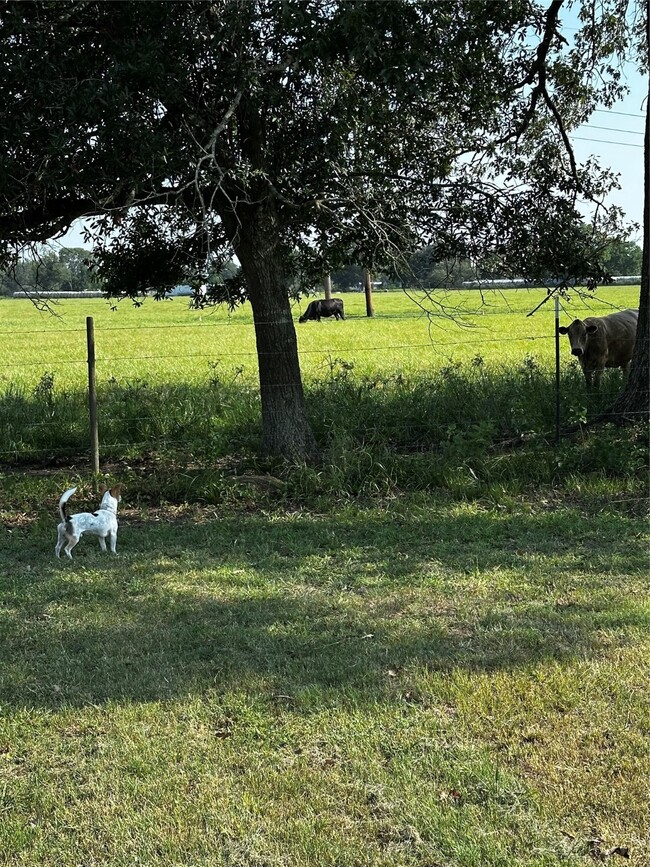 Photo - 1566 County Rd 610