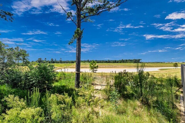 Photo - 7138 Clearwater Cv Dr