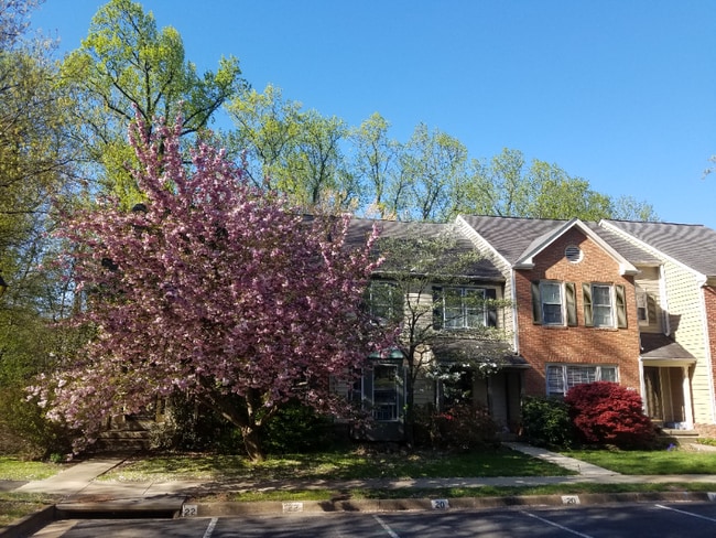 Photo - 11822 Great Owl Cir