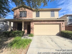 Photo - 12239 Painted Daisy