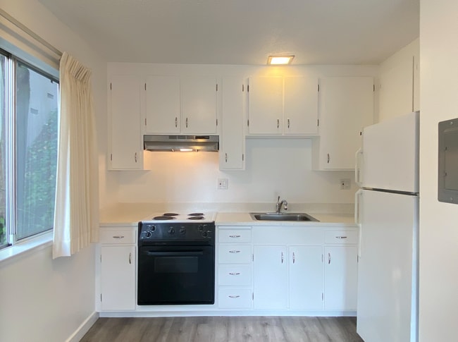 Photo - HUGE Stunning Remodeled 1BR/1BA Flat! Parking! -PROGRESSIVE Unit A