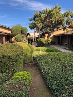 Building Photo - 61 W Santa Ana Ave Unit SANTA ANA APARTMENT
