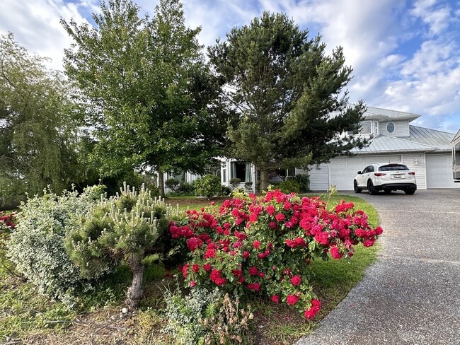 1541 Ocean View Ln