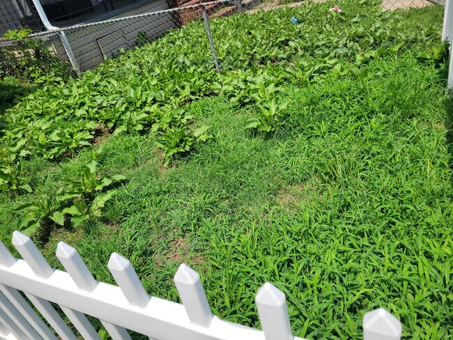 Photo - 3808 Pennington Ave