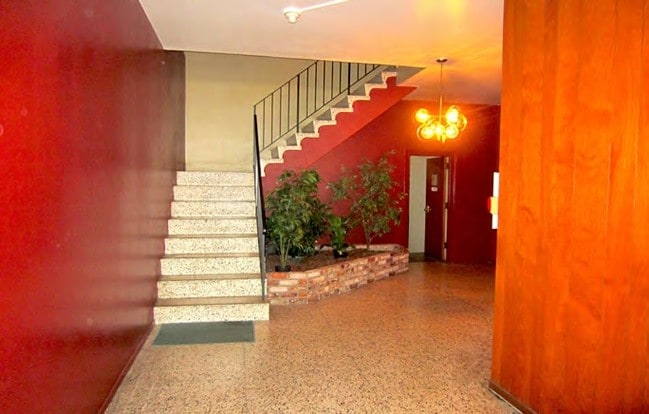 1064 Dolores