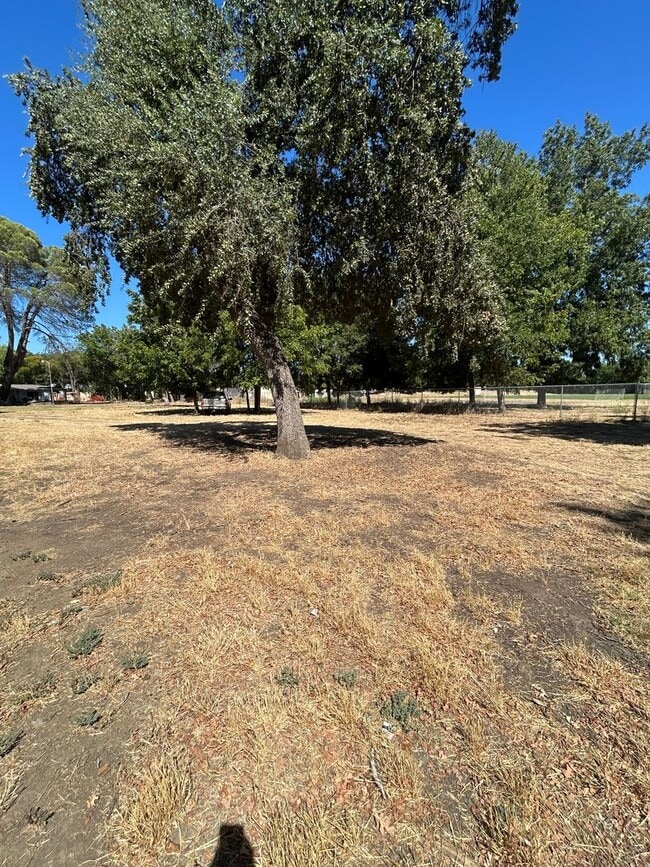 Photo - 316 Butcher Rd