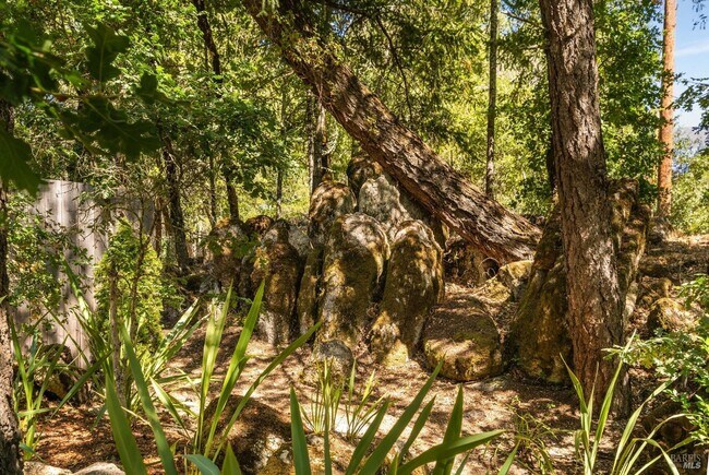 Photo - 1450 Diamond Mountain Rd