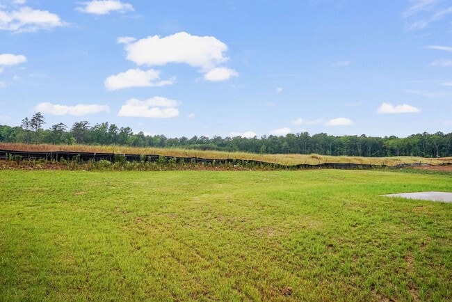 Photo - 817 Ashford Dr