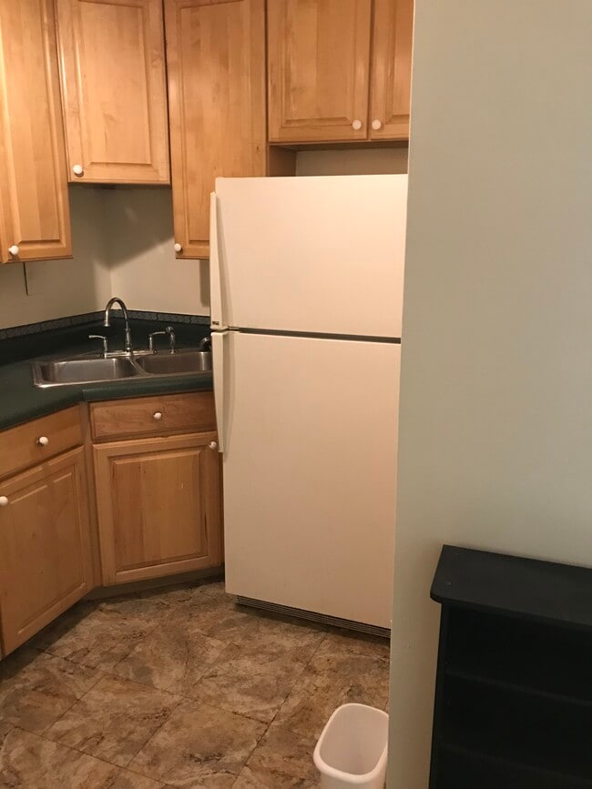 Full Size Refrigerator - 1400 E 55th Pl Unit Apt #211S