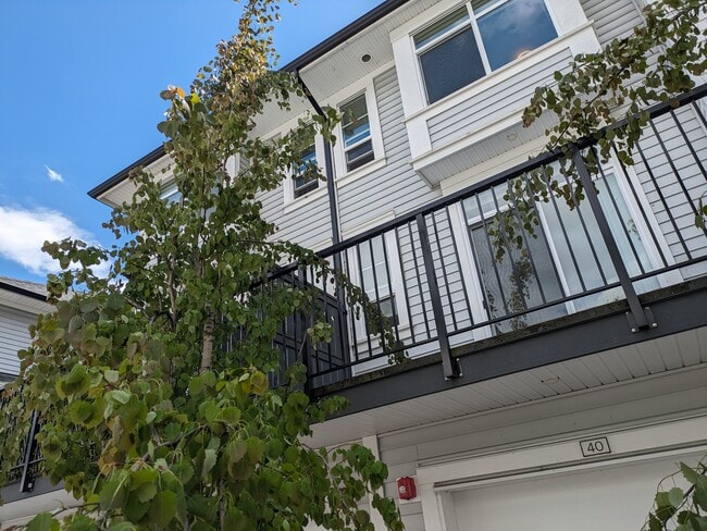 Photo - 19696 Hammond Rd